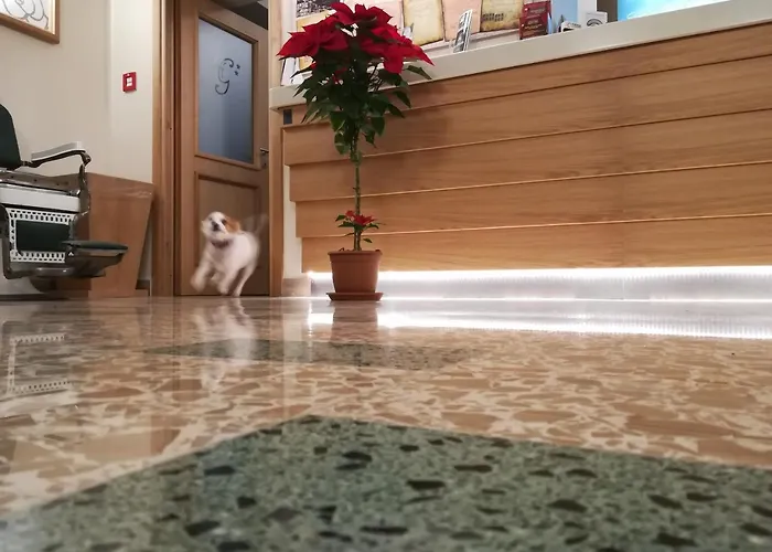 Del Golfo Ξενοδοχείο 2*